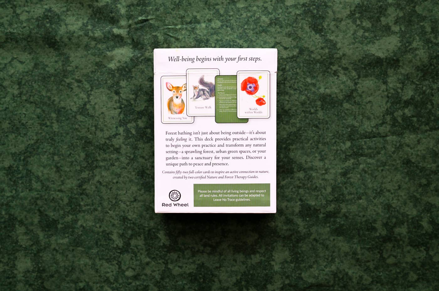 An Invitation to Forest Bathing: 52 Activity Cards