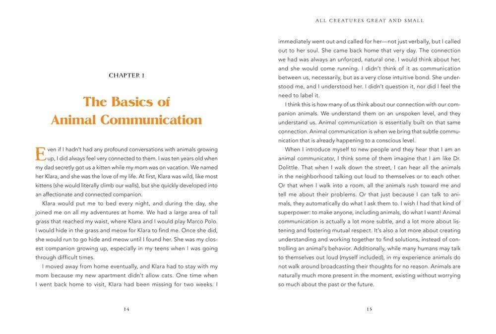 Animal Intuition: Communicating with Pets, Spirits & Energy: Hardcover