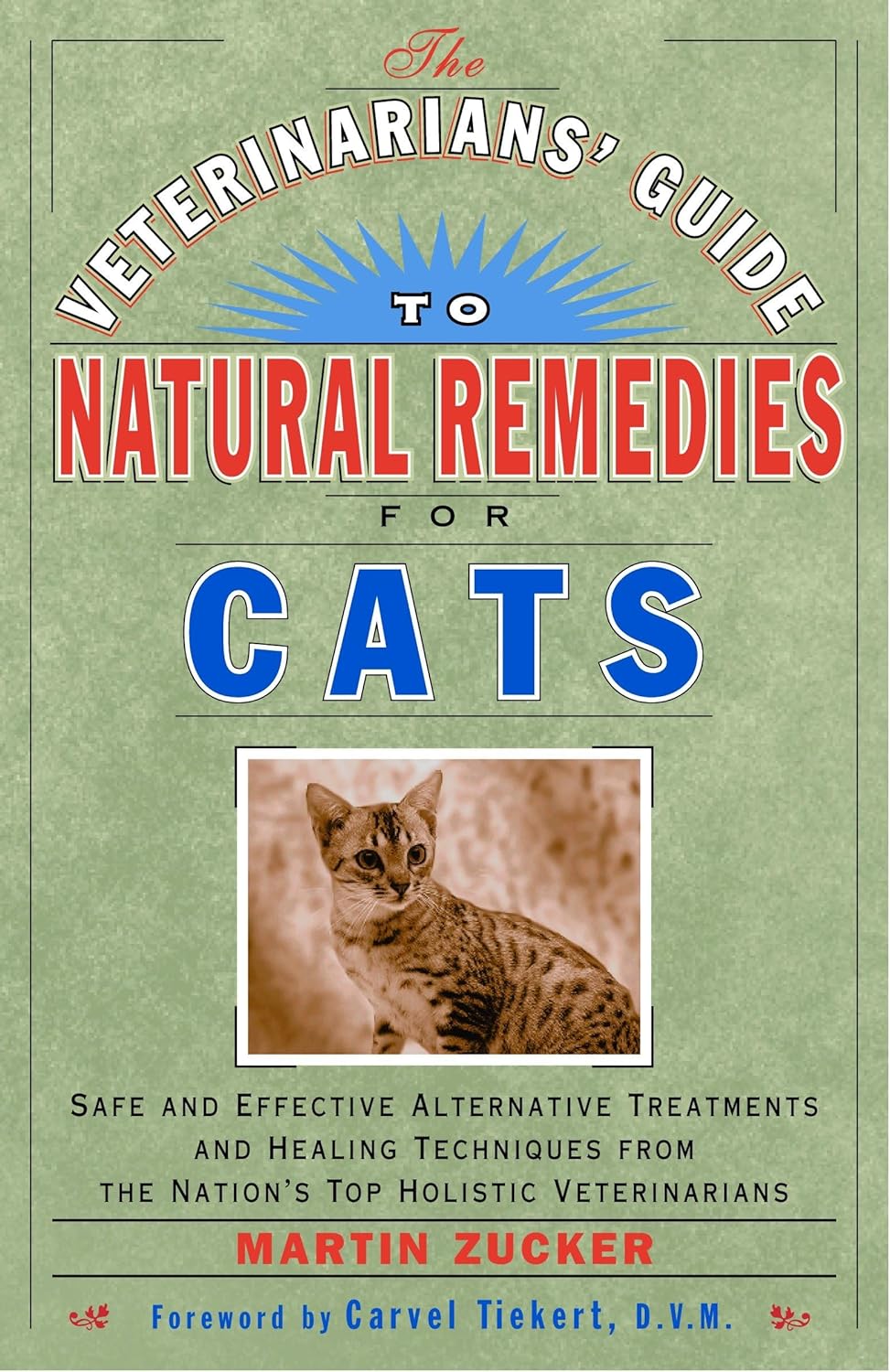 Veterinarians' Guide to Natural Remedies for Cats